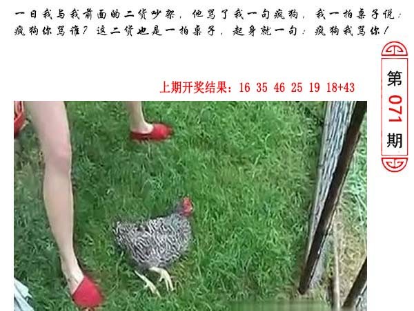 071期澳门生活幽默[图]