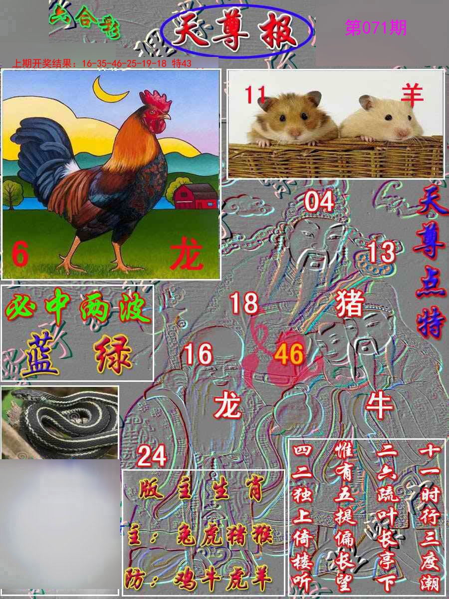 071期天尊报[图]