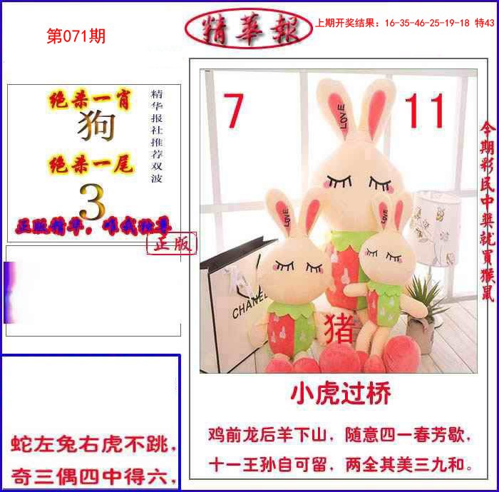 071期新精华报报[图]