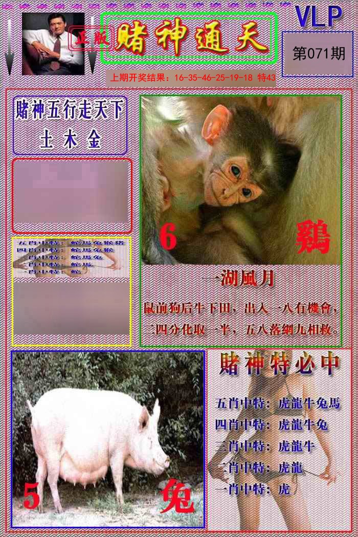 071期赌神通天报[图]