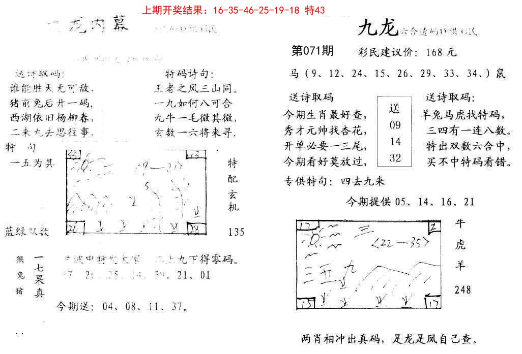 071期九龙内幕[图]