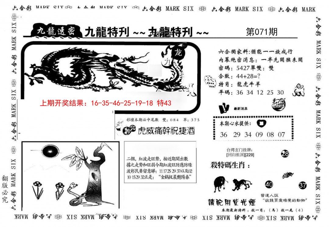 071期九龙特新刊[图]