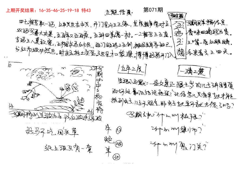 071期手写九龙内幕[图]