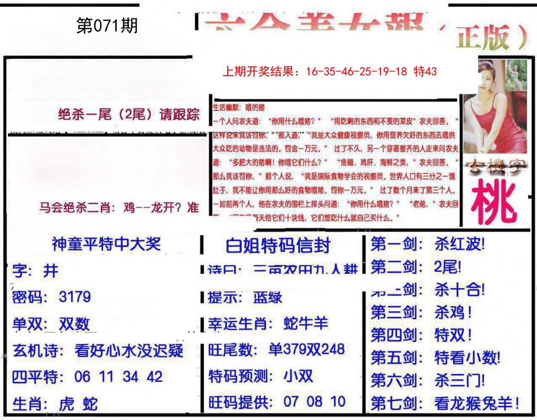 071期美女报[图]