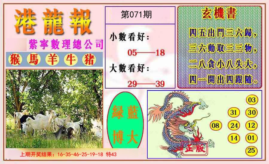 071期港龙报[图]