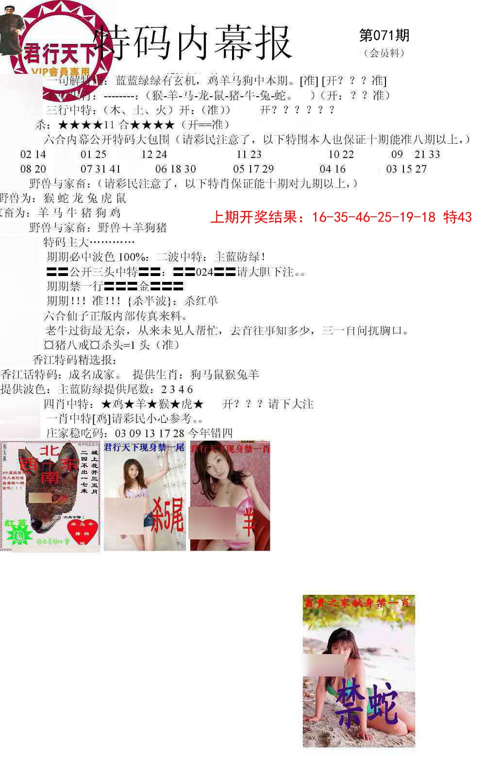 071期特码内幕报[图]