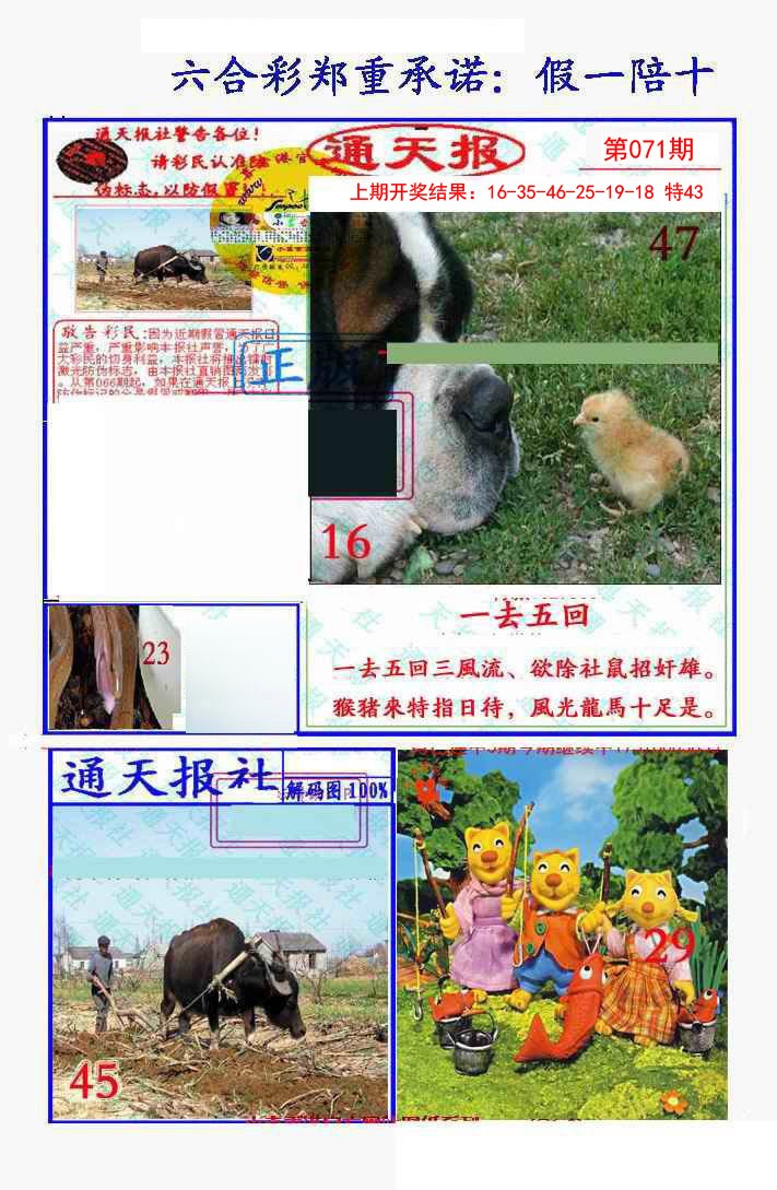 071期假一陪十通天报[图]