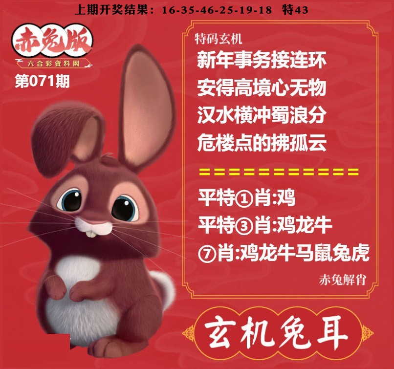 071期玄机兔耳[图]