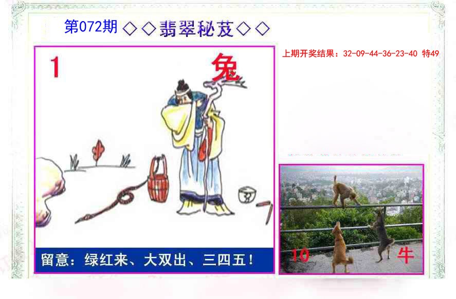 072期翡翠报[图]