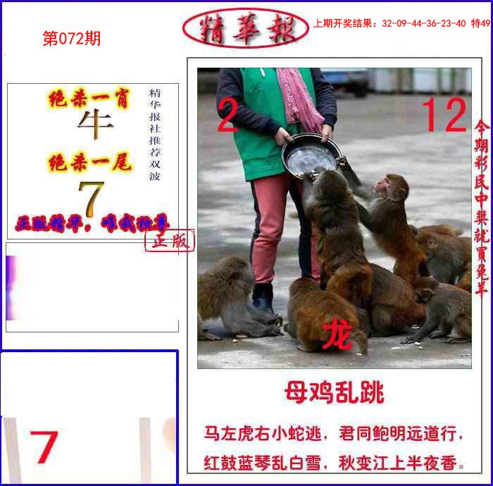 072期新精华报报[图]
