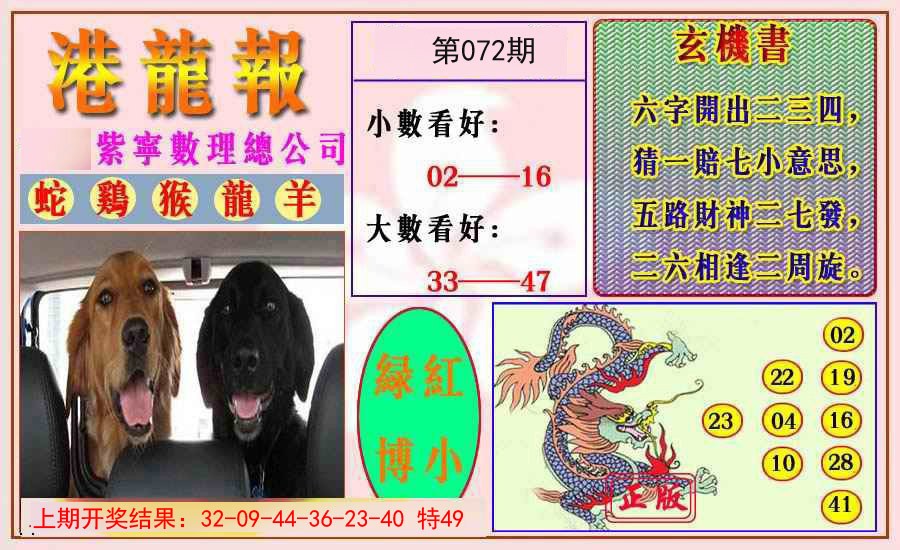 072期港龙报[图]