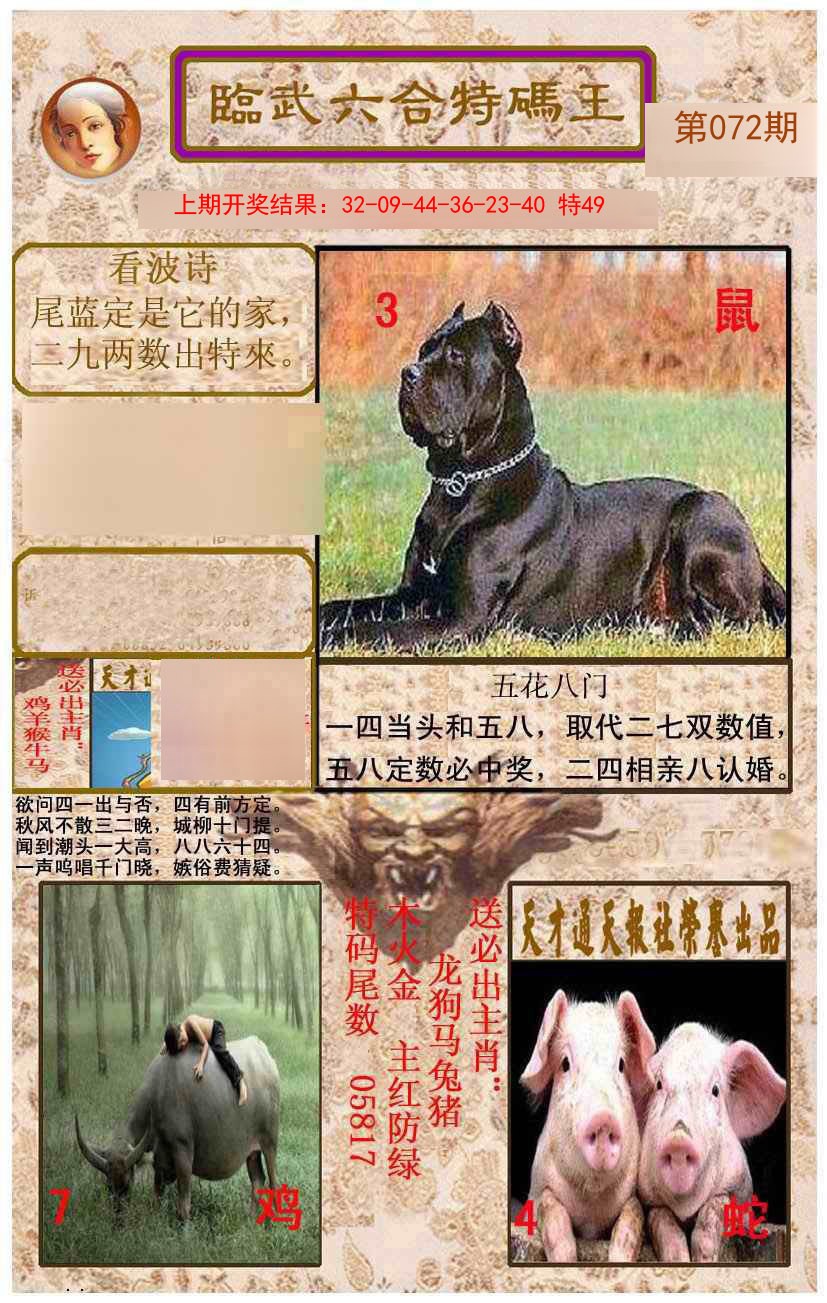072期临武六合特码王[图]