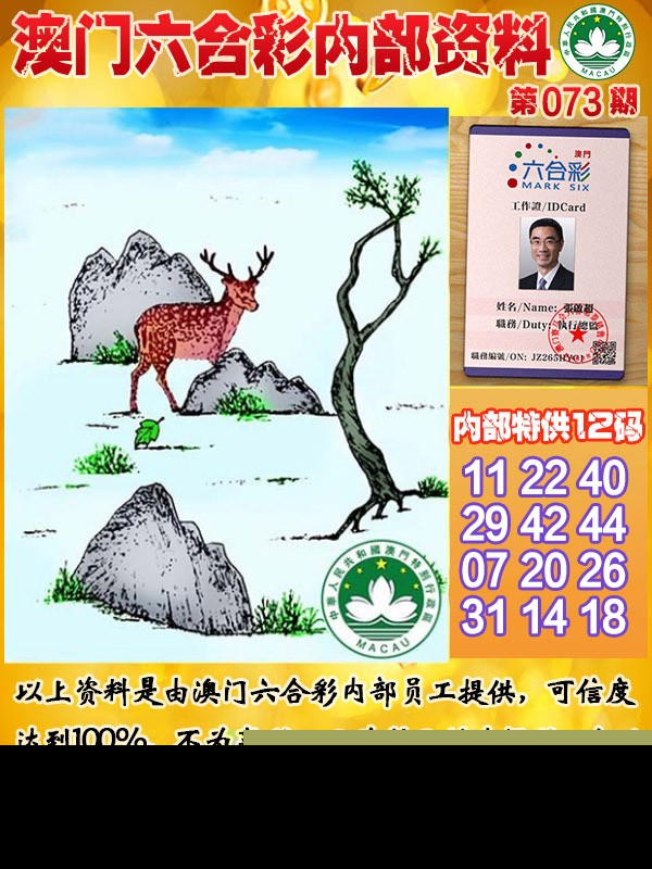 073期六合内部资料[图]