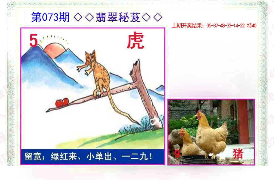 073期翡翠报[图]