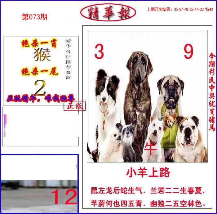 073期新精华报报[图]