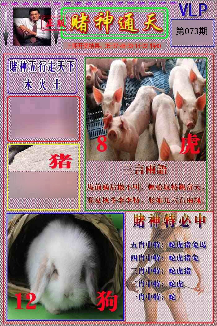 073期赌神通天报[图]