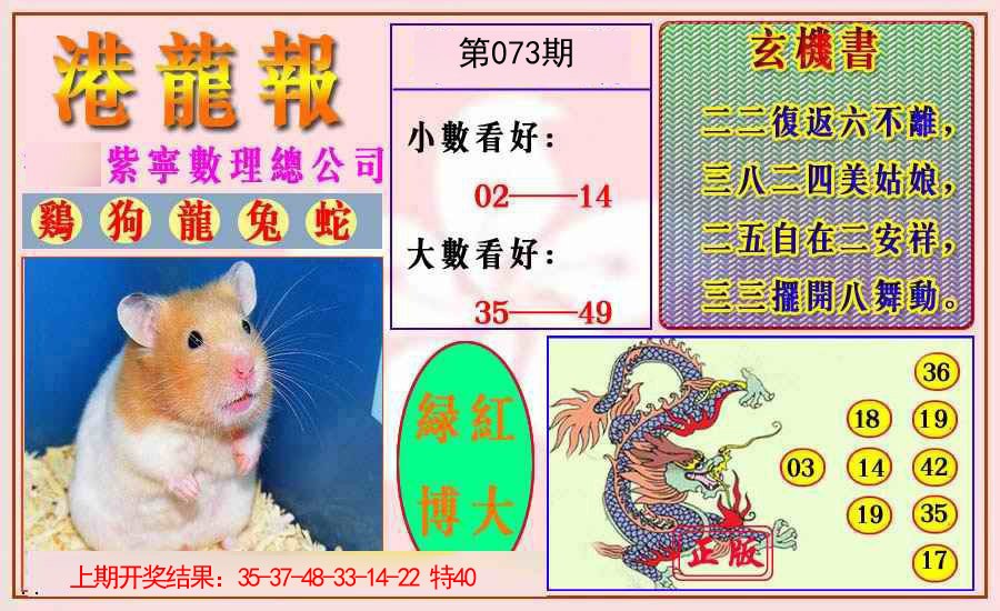 073期港龙报[图]