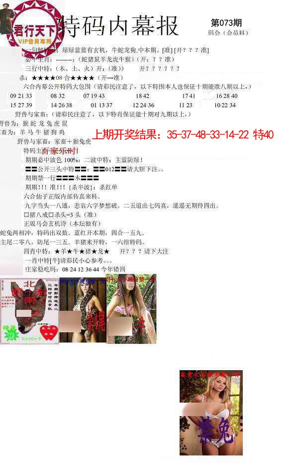 073期特码内幕报[图]