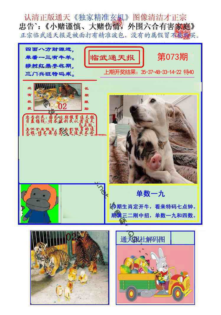 073期临武通天报[图]