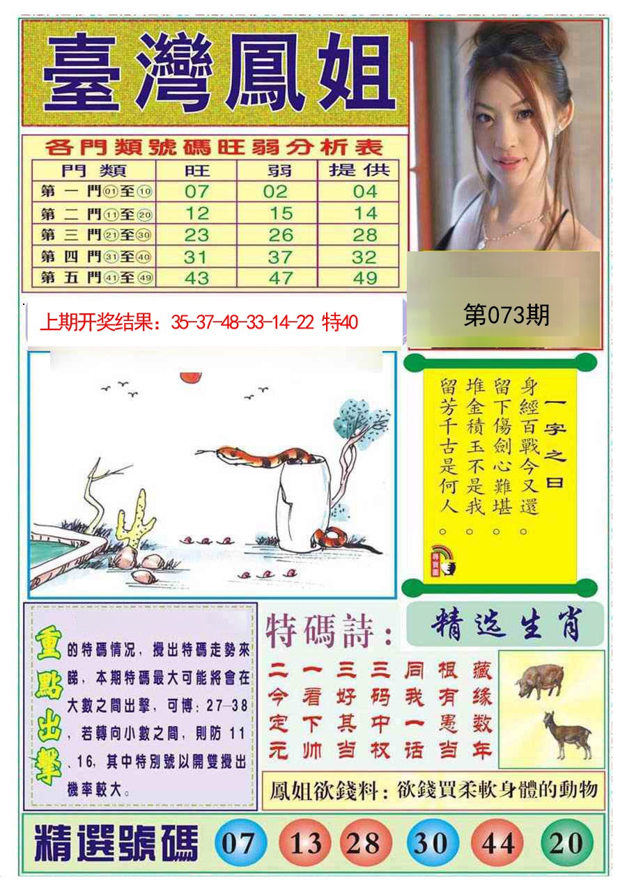 073期台湾凤姐[图]