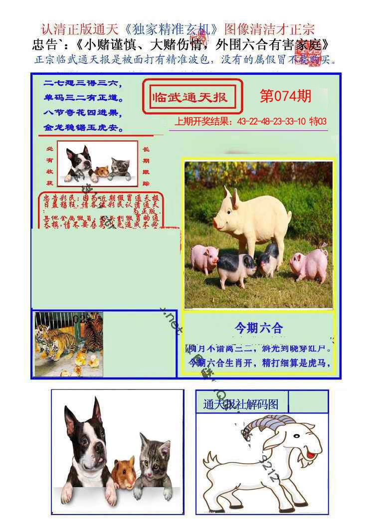 074期临武通天报[图]