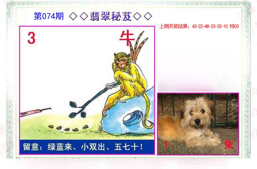 074期翡翠报[图]