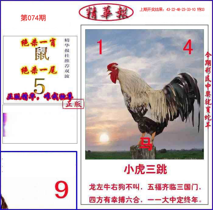 074期新精华报报[图]