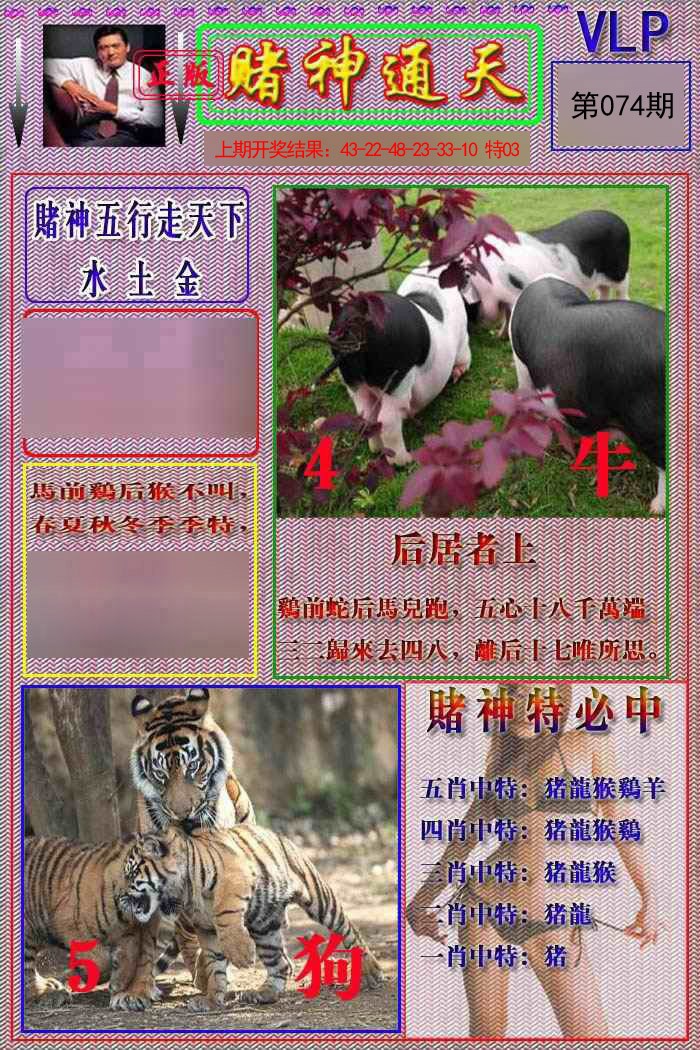 074期赌神通天报[图]
