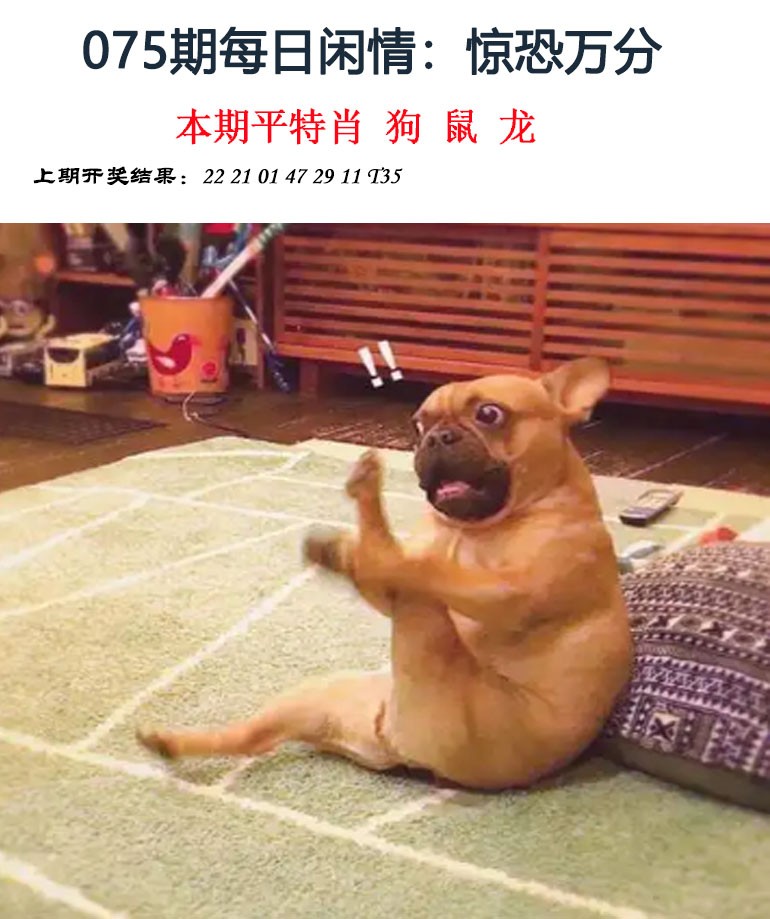 075期每日闲情[图]