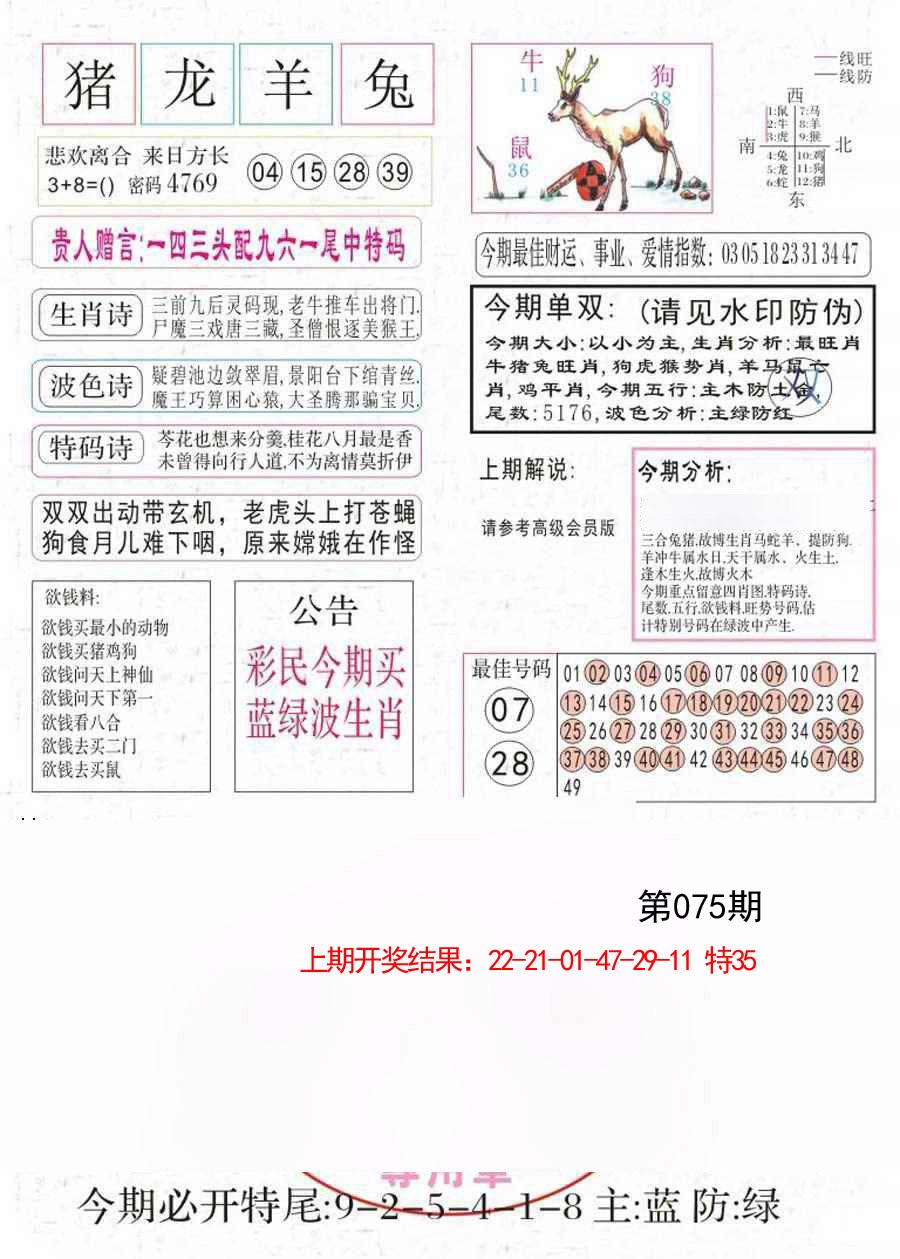 075期凤凰闲情A[图]