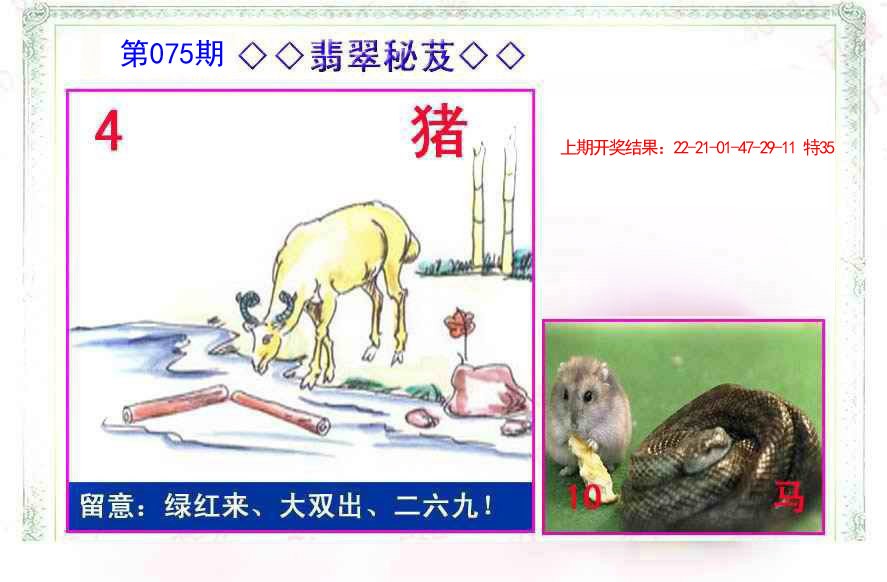 075期翡翠报[图]