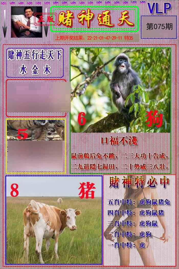 075期赌神通天报[图]