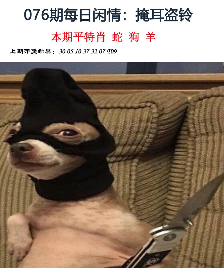 076期每日闲情[图]