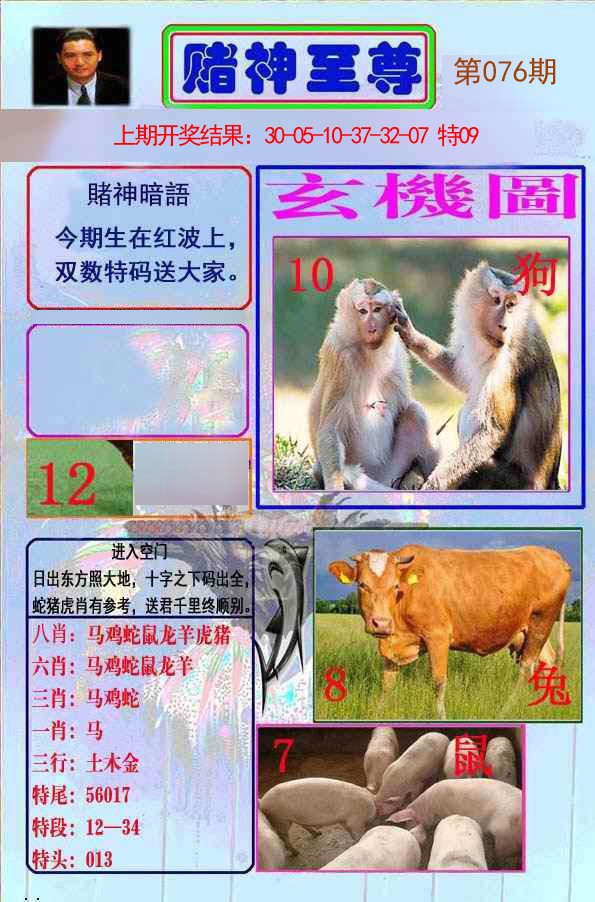 076期赌神至尊[图]
