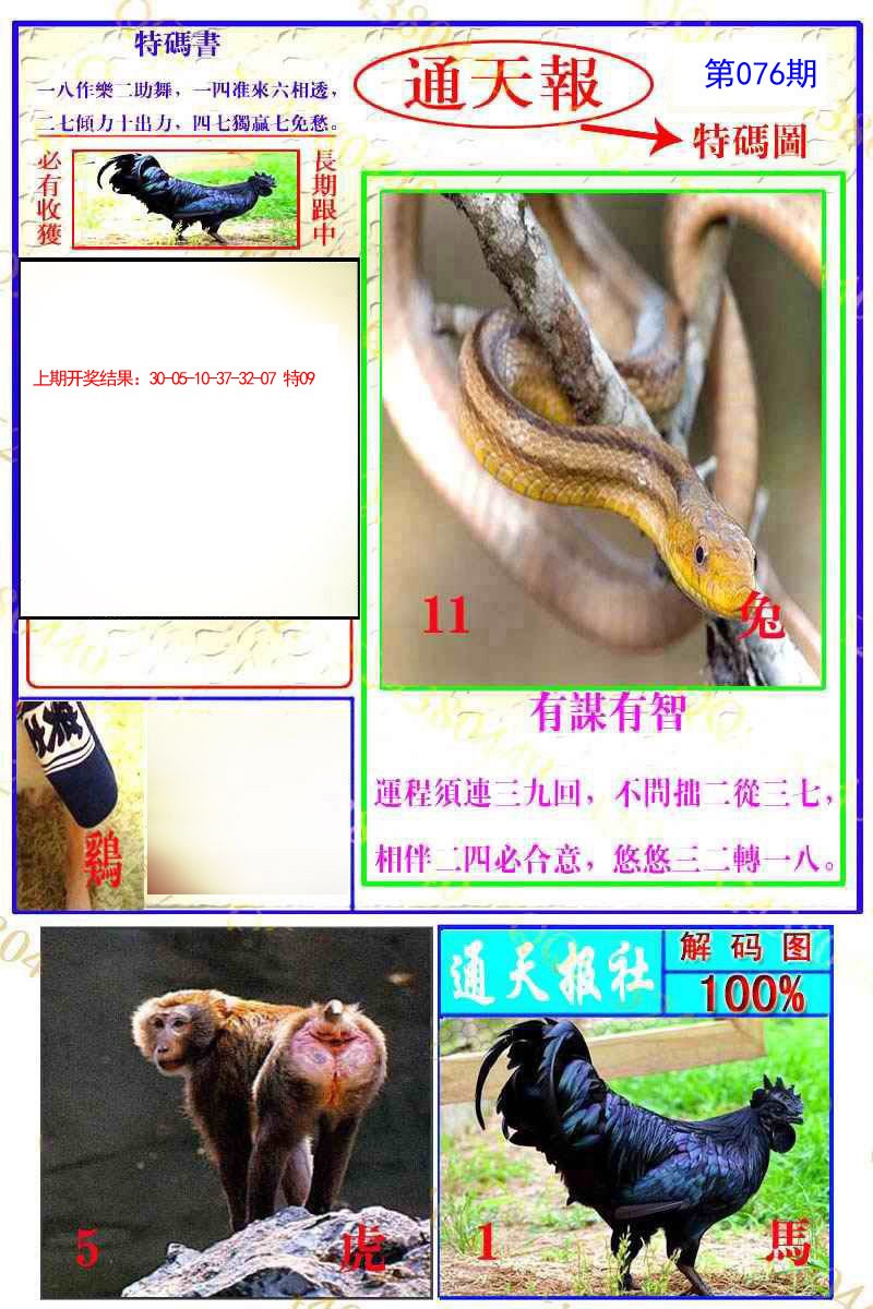 076期通天特解图[图]