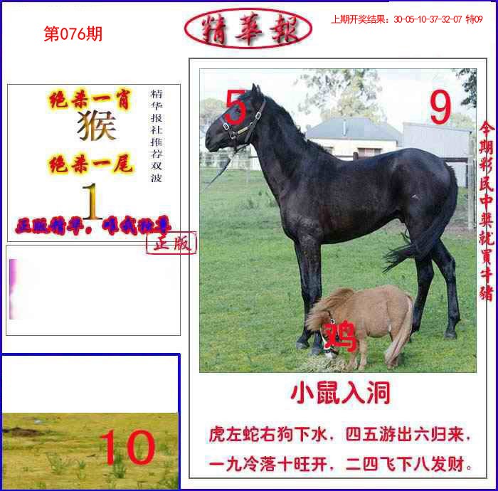 076期新精华报报[图]