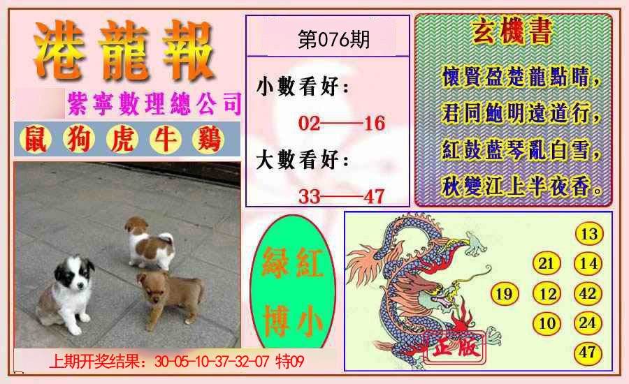 076期港龙报[图]