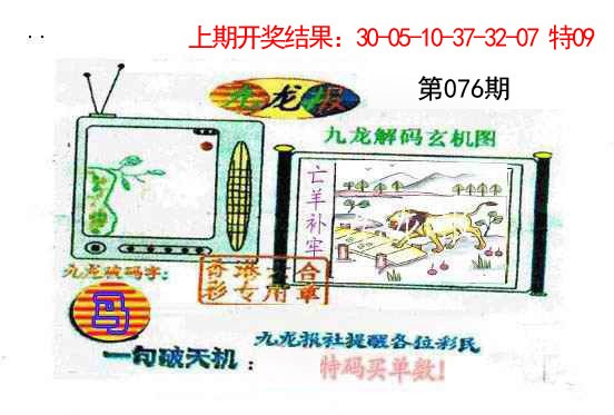 076期九龙报[图]
