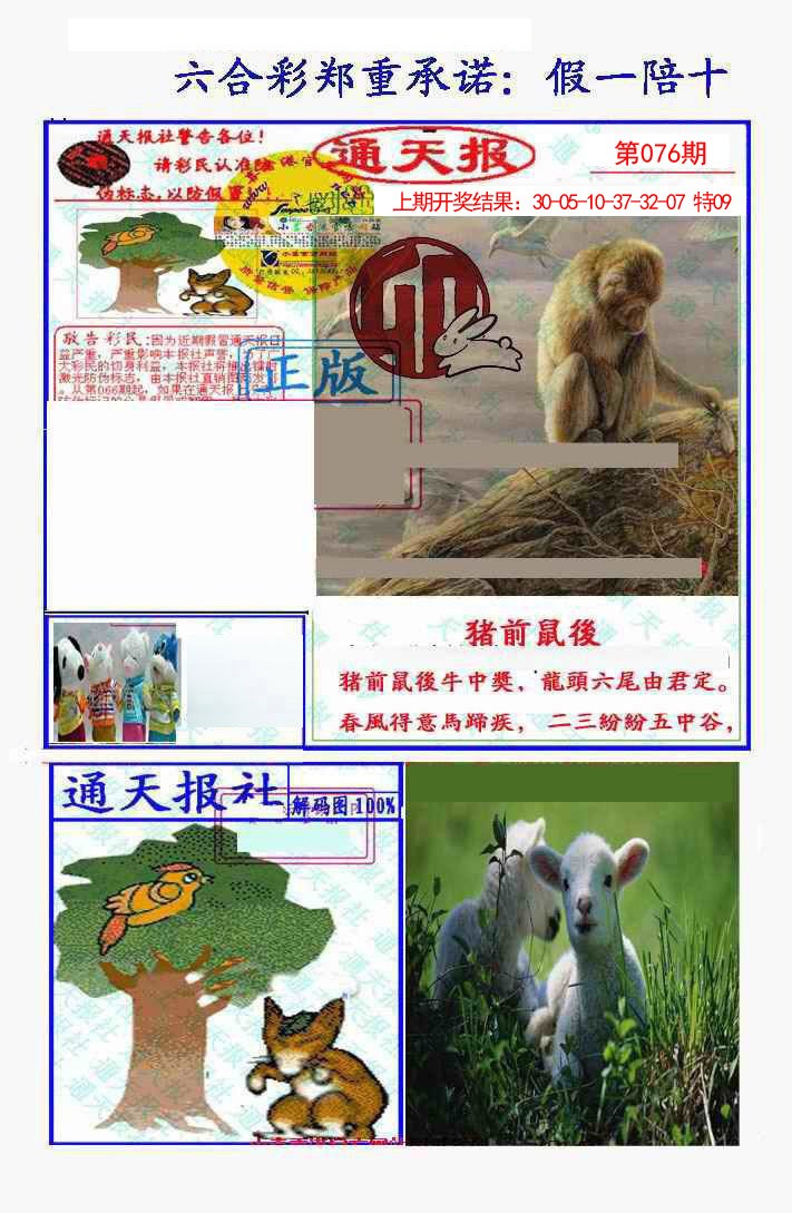 076期假一陪十通天报[图]