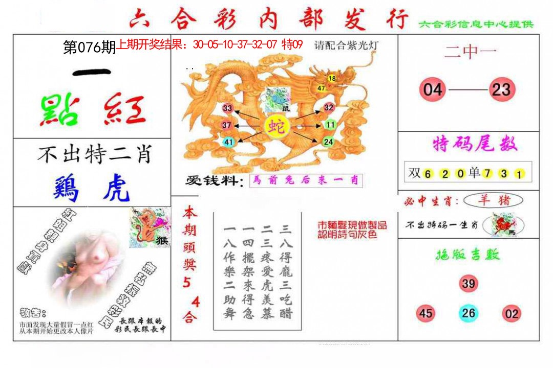 076期一点红[图]