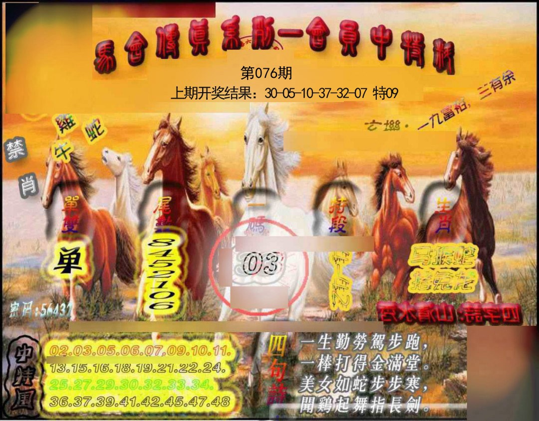 076期马会传真-会员报[图]
