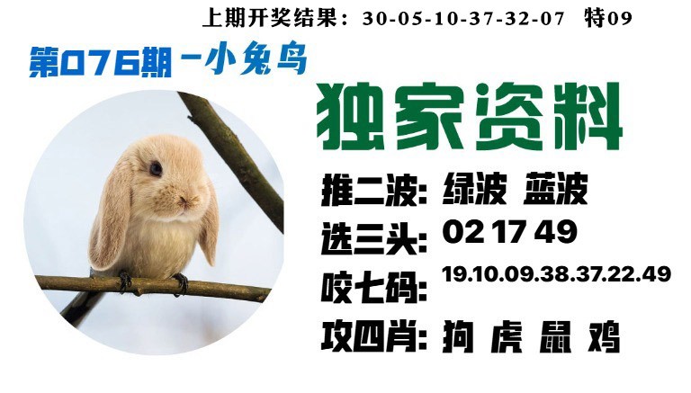 076期小兔鸟[图]