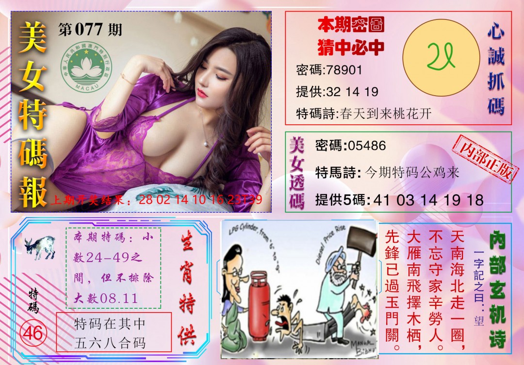 077期美女特码报[图]