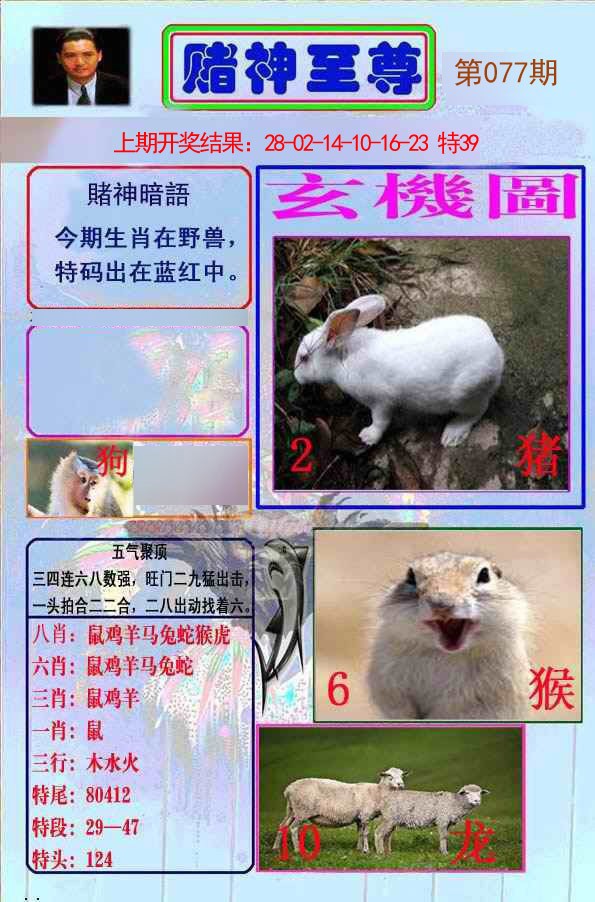 077期赌神至尊[图]