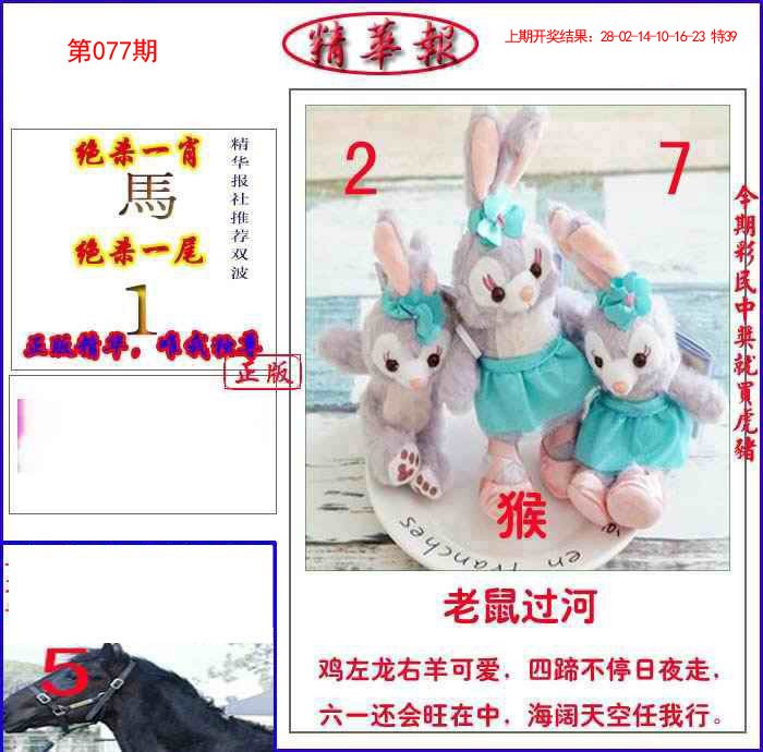 077期新精华报报[图]