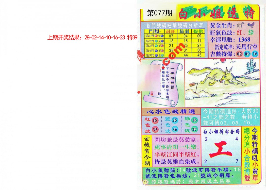 077期白小姐透特[图]