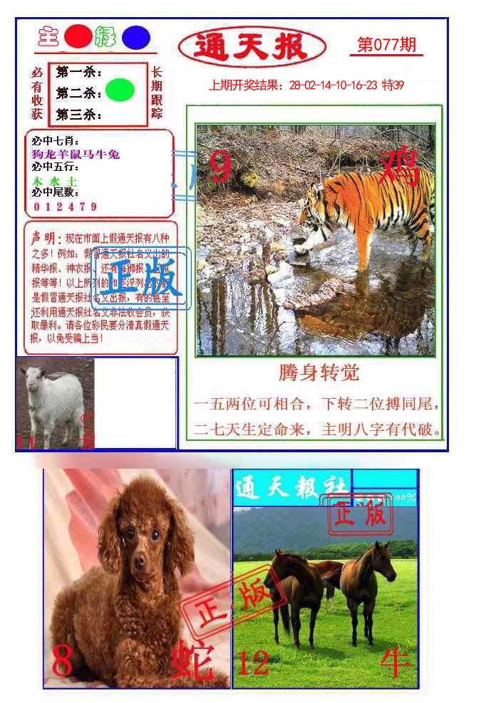 077期通天杀波图1[图]