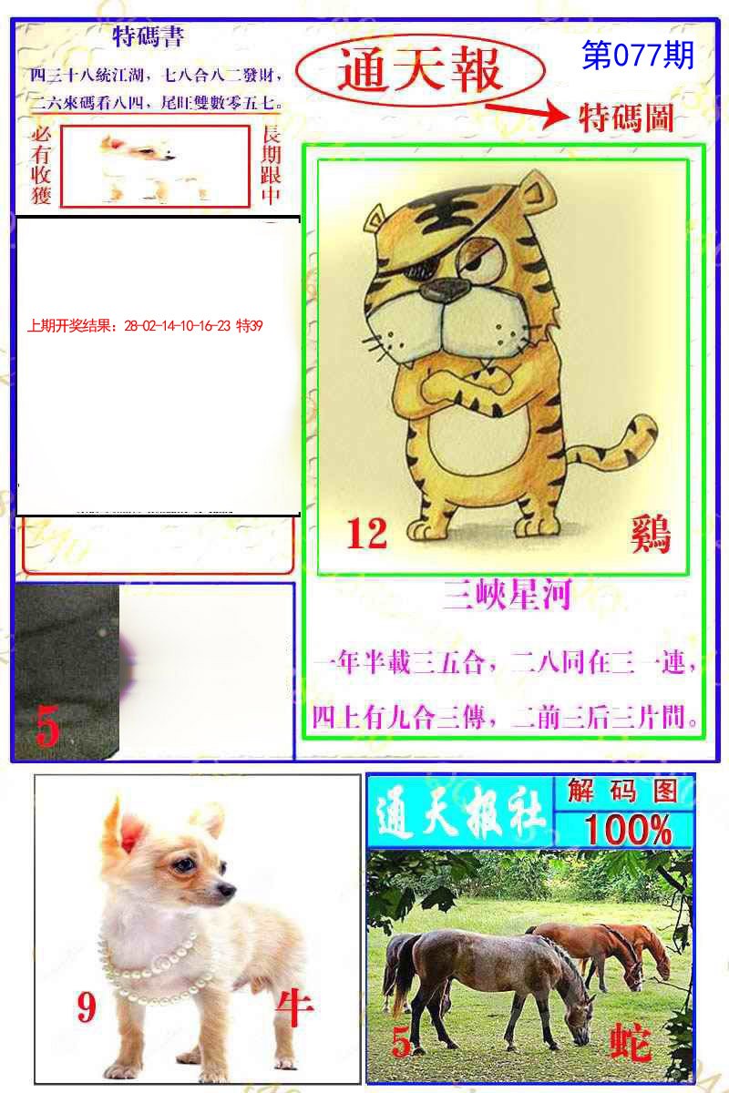 077期通天特解图[图]