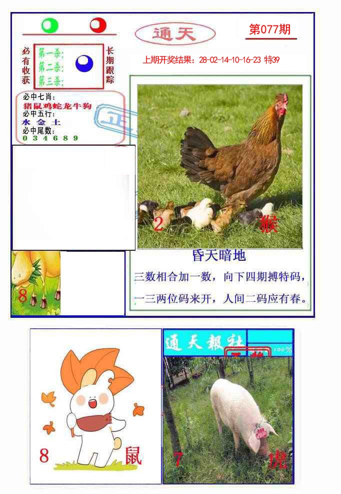 077期通天杀波图2[图]