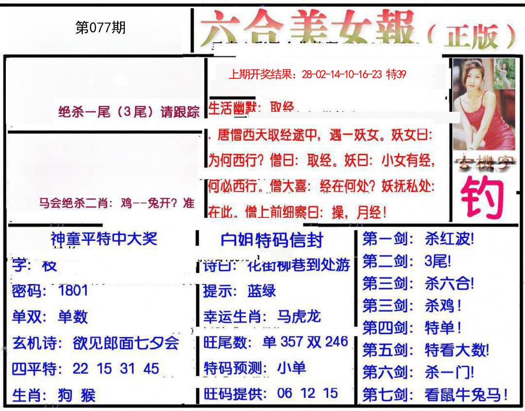 077期美女报[图]